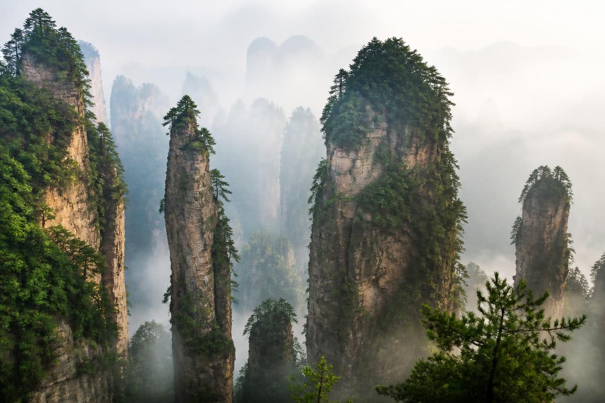 Zhangjiajie sandstone pillars in mist