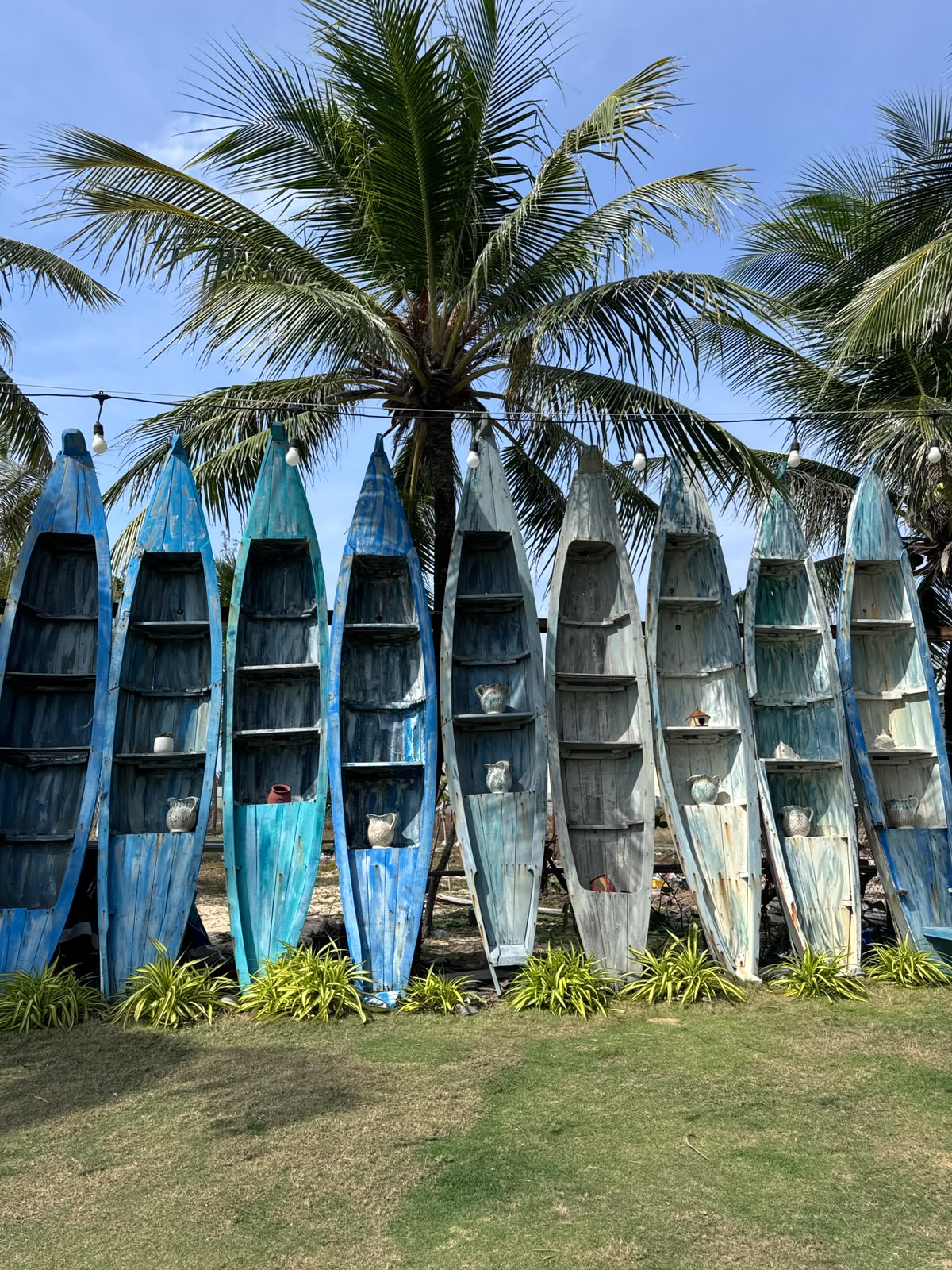Painted wooden boats standing upright under palm trees in Bali