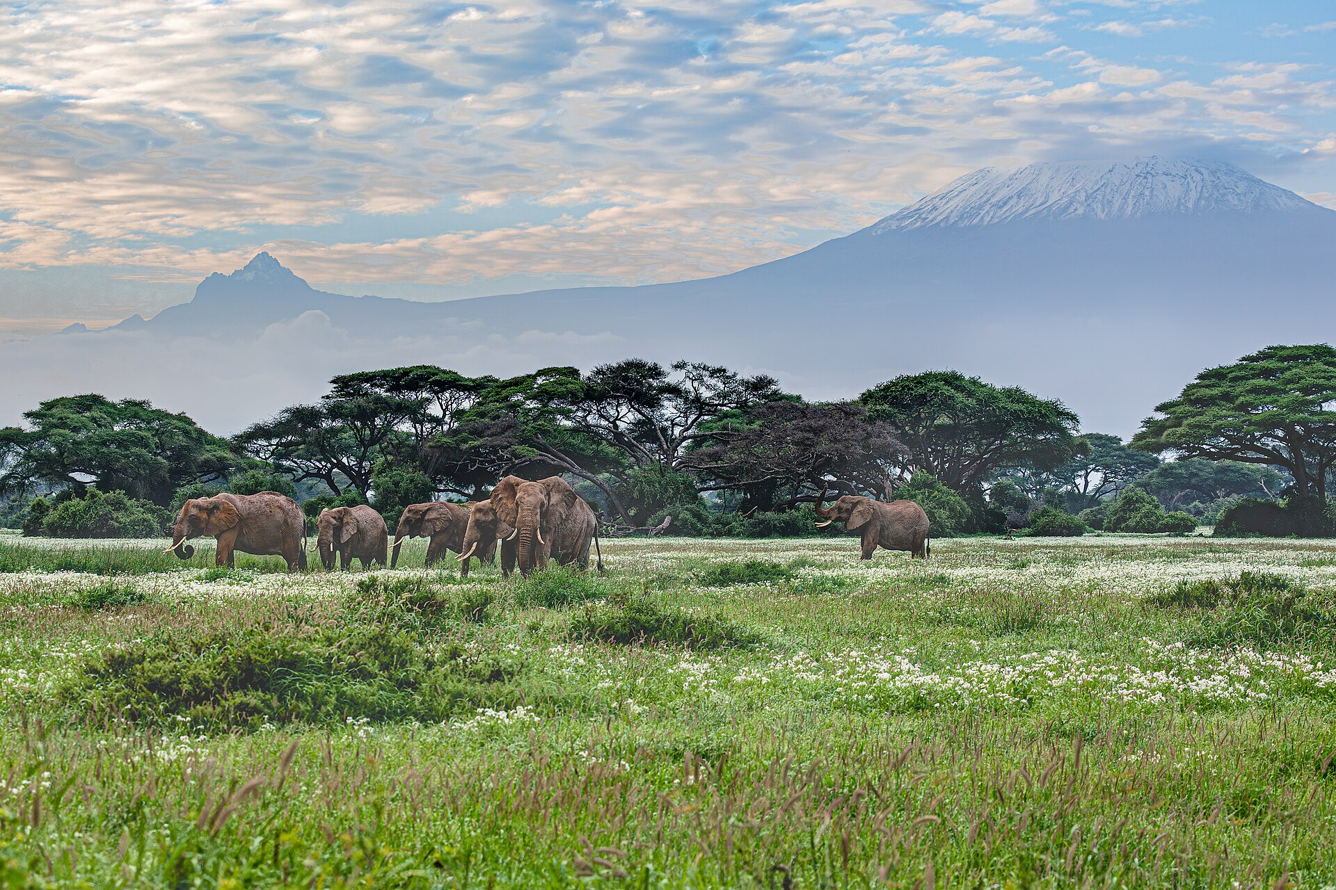 Kenya: A 10-day Rift Valley, savannah and coast route in planning