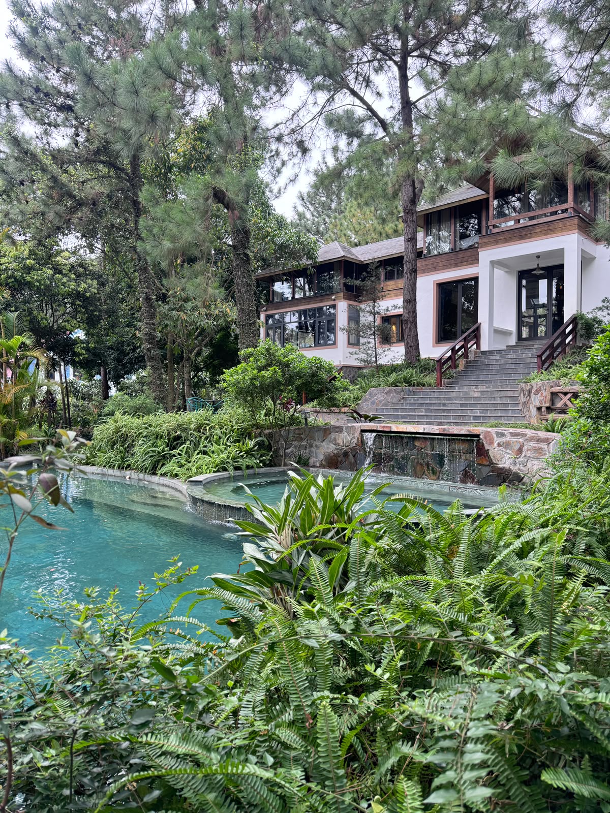 Boutique hillside property with a pool surrounded by pine trees and ferns